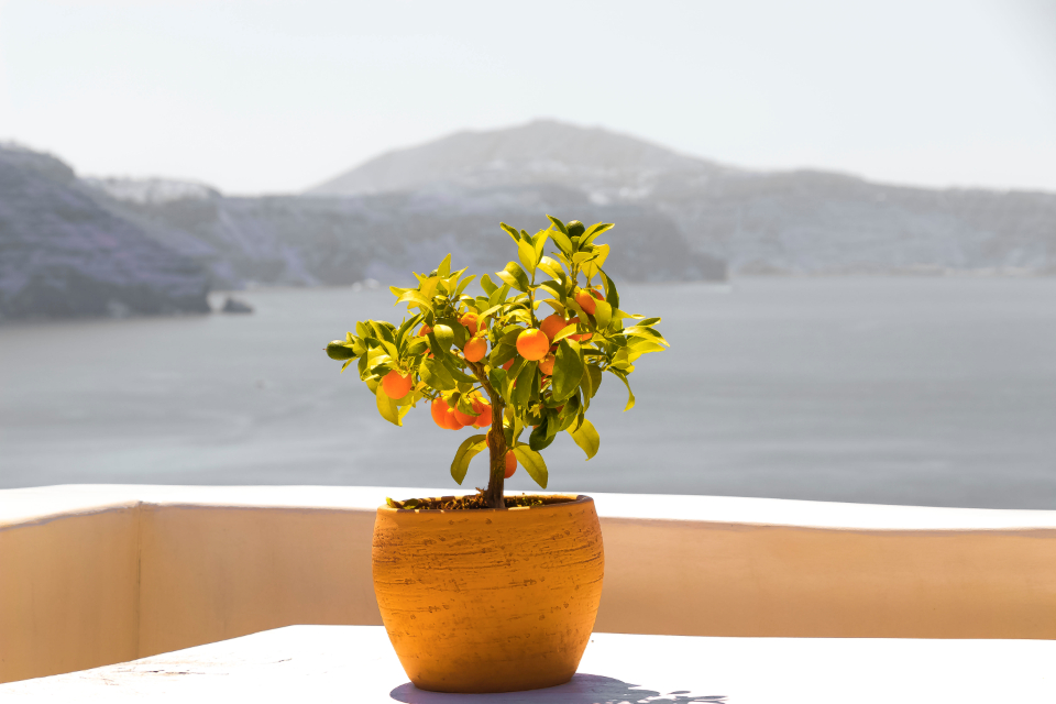 Santorini Greece