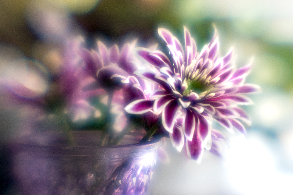 Flowers Vase