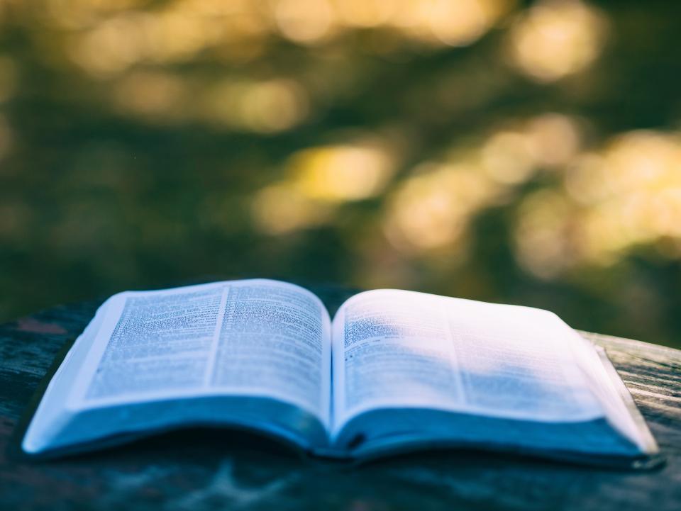 Bible Book
