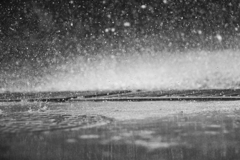 Raining Rain Drops