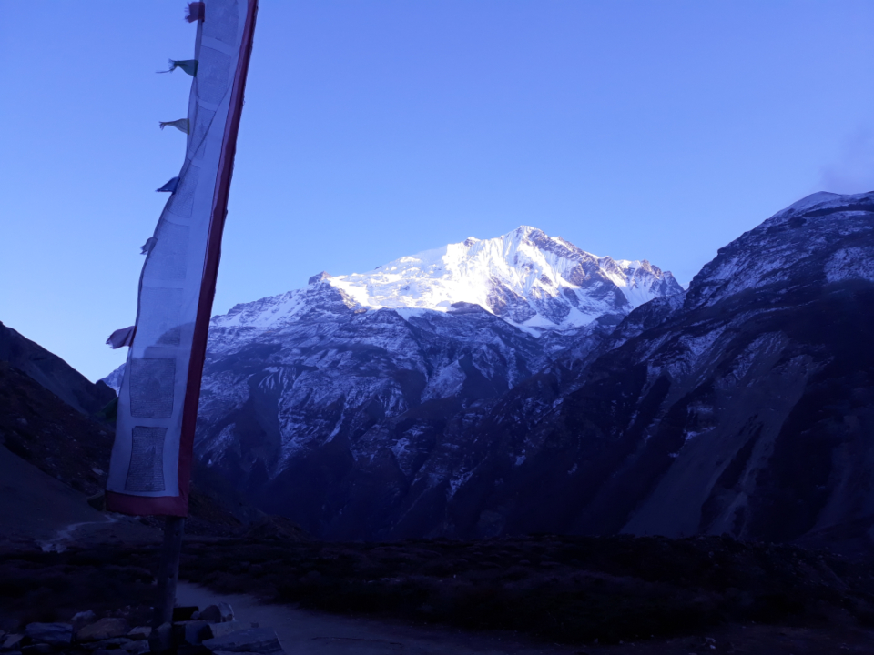 Nature Himalayas
