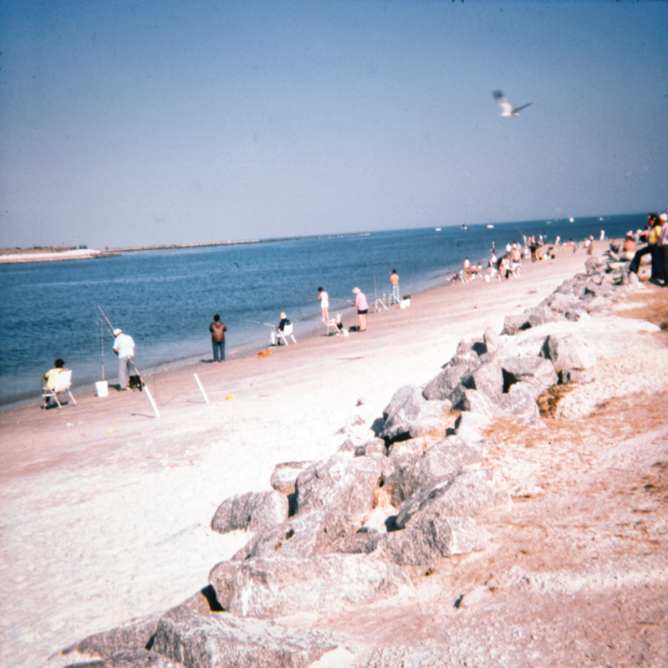 Beach Sea