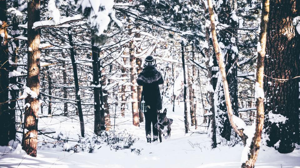 Snow Winter