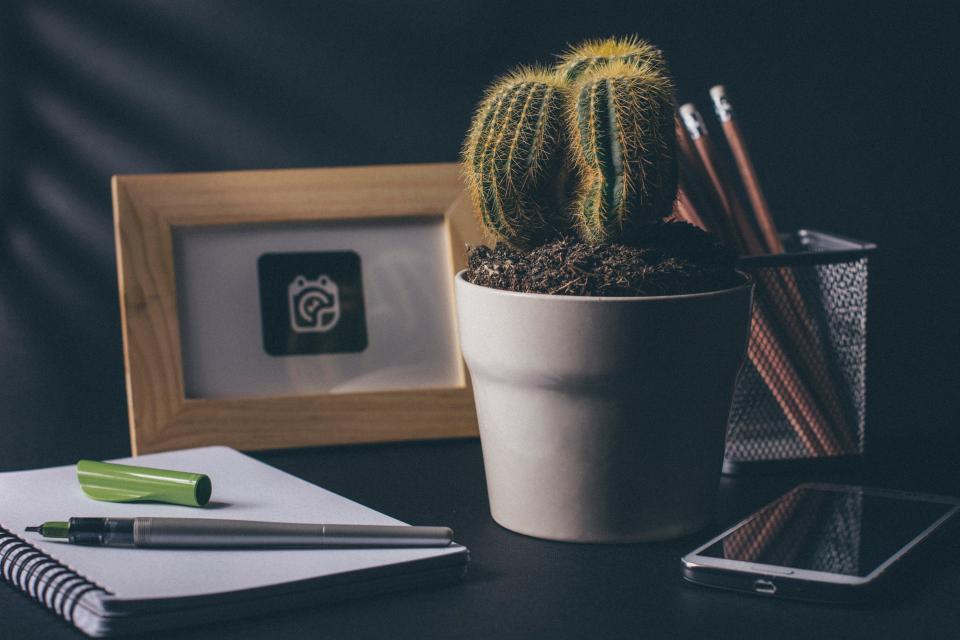 Cactus Office