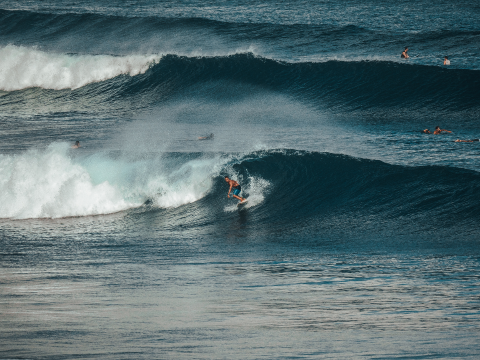 Surfing Ocean