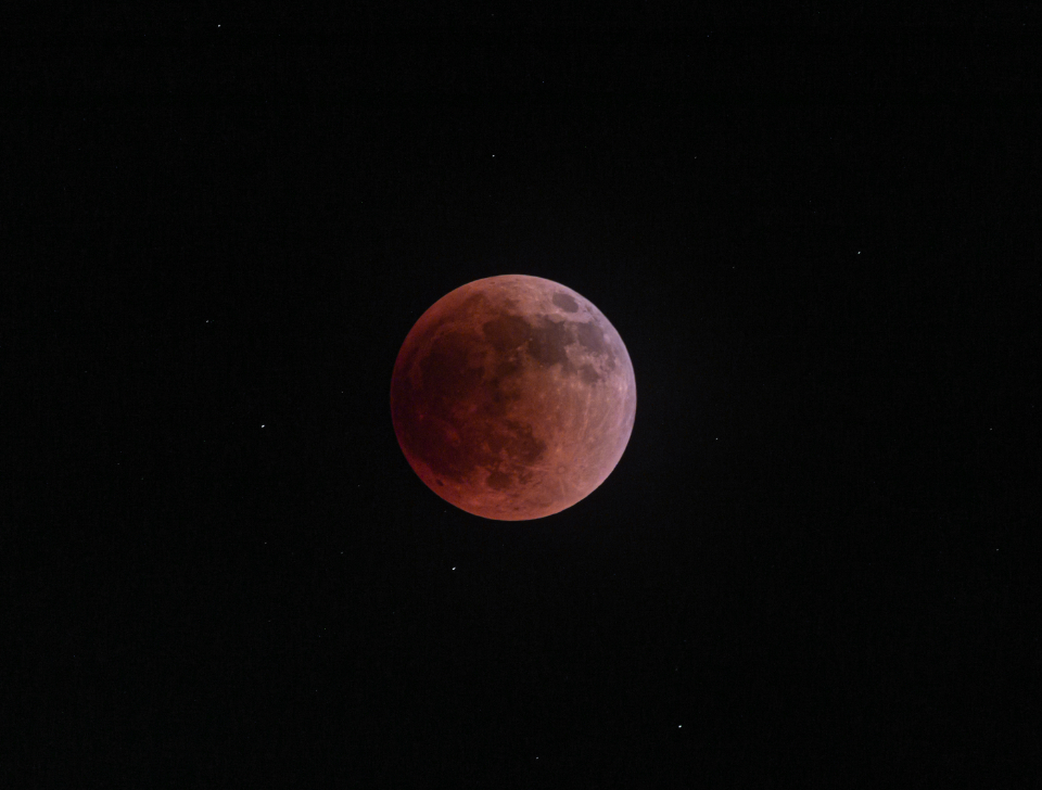 Moon Night
