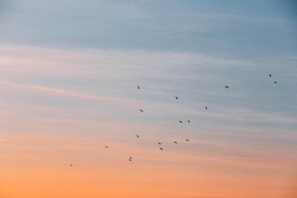Cloud Sky