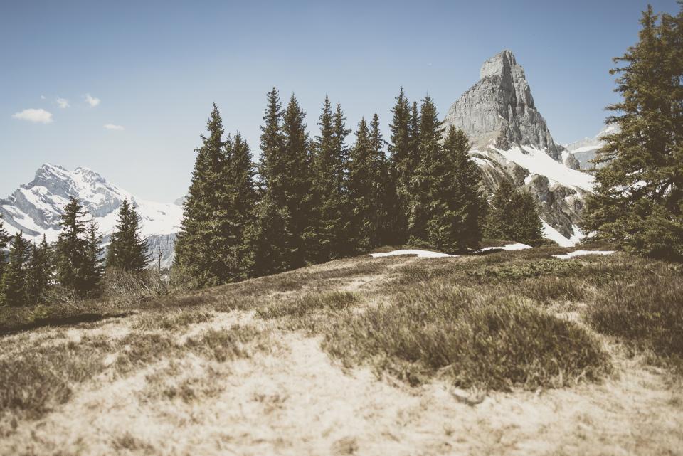 Mountain Highland