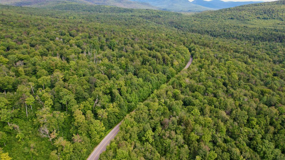 Road Above