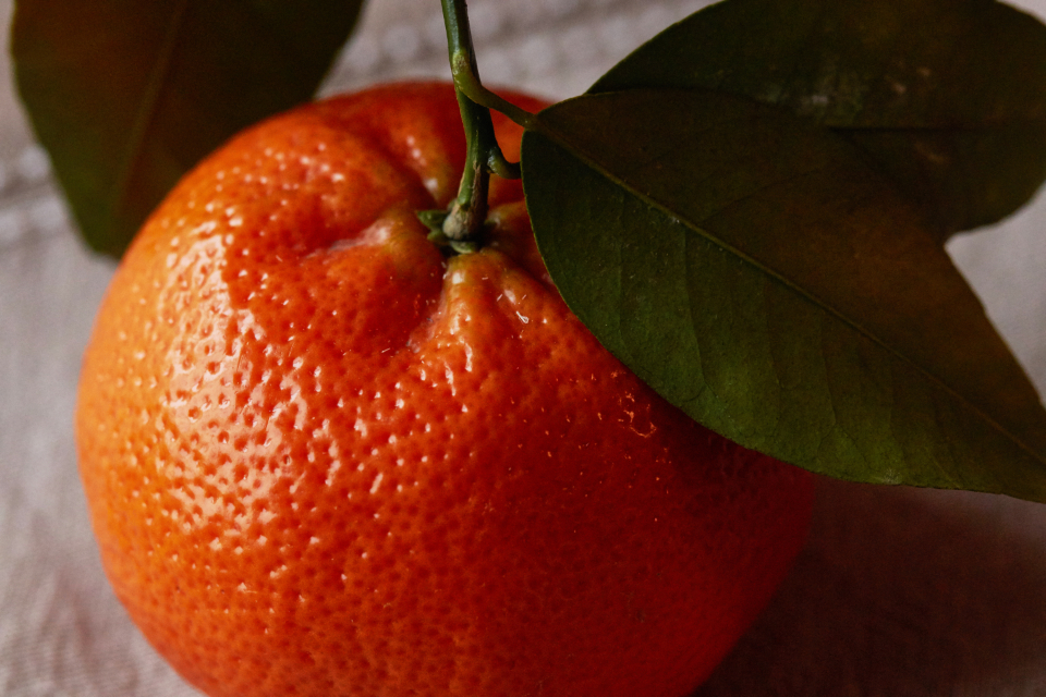 Fresh Orange