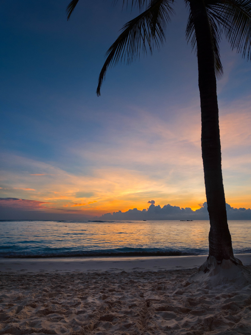 Vacation Beach