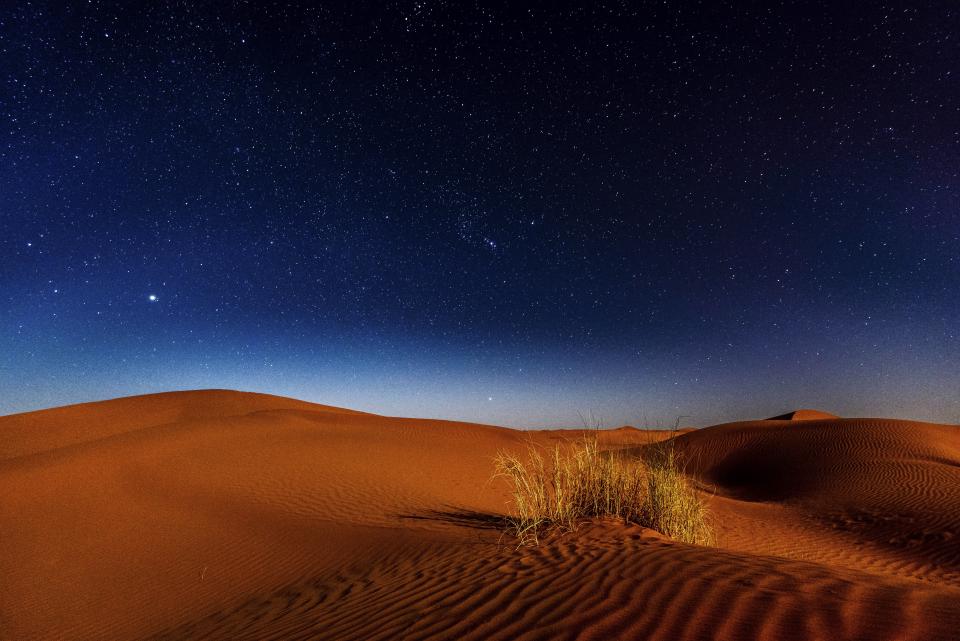 Desert Landscape