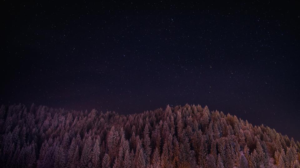 Dark Night