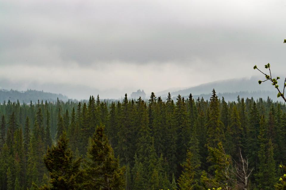 Nature Landscape