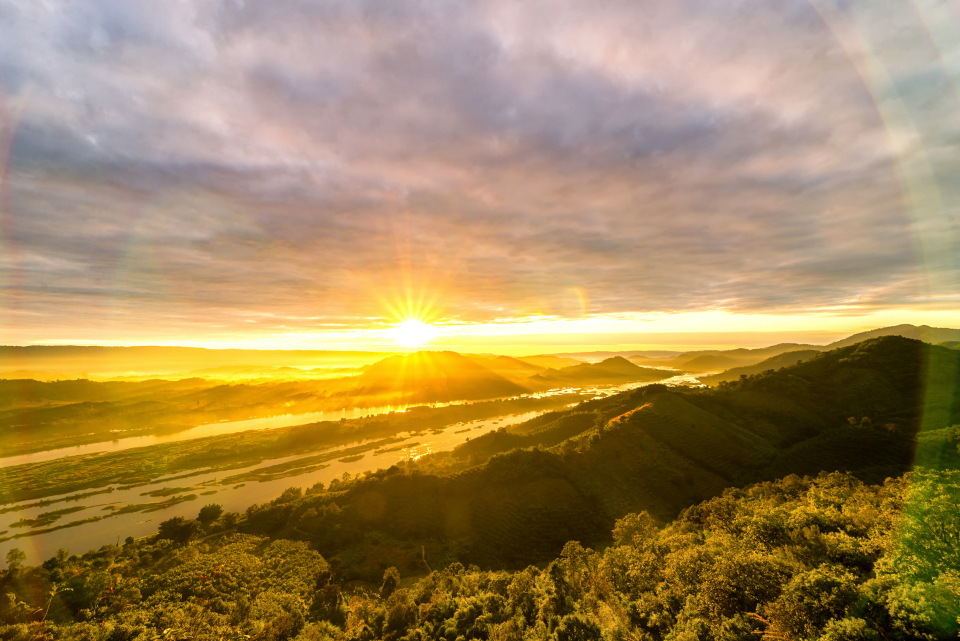 Vista Landscape