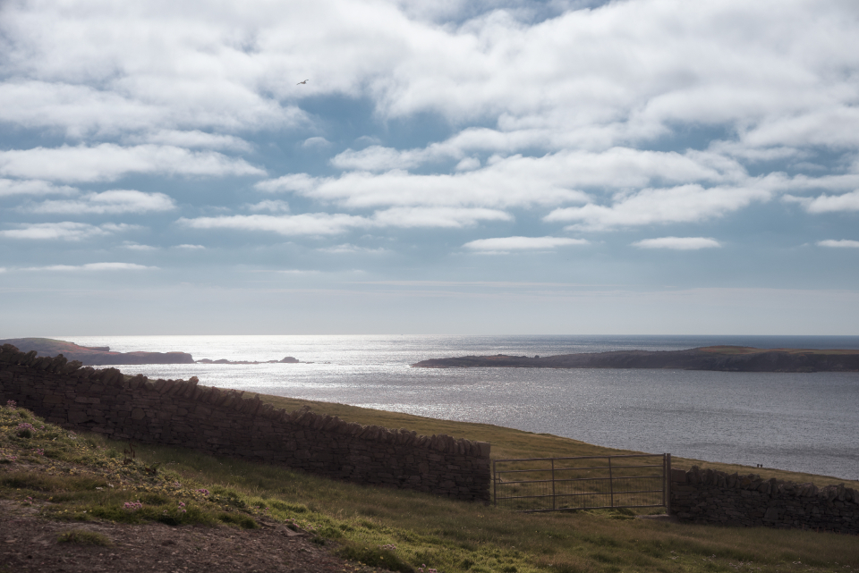 Water Coast