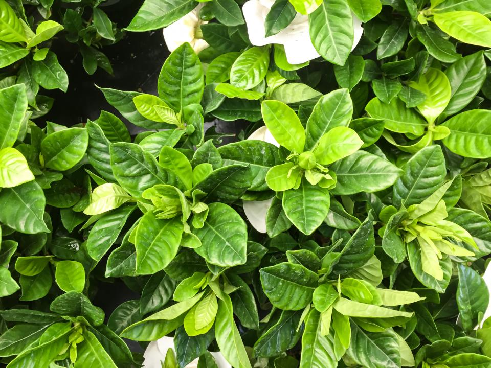 Outdoors Environment