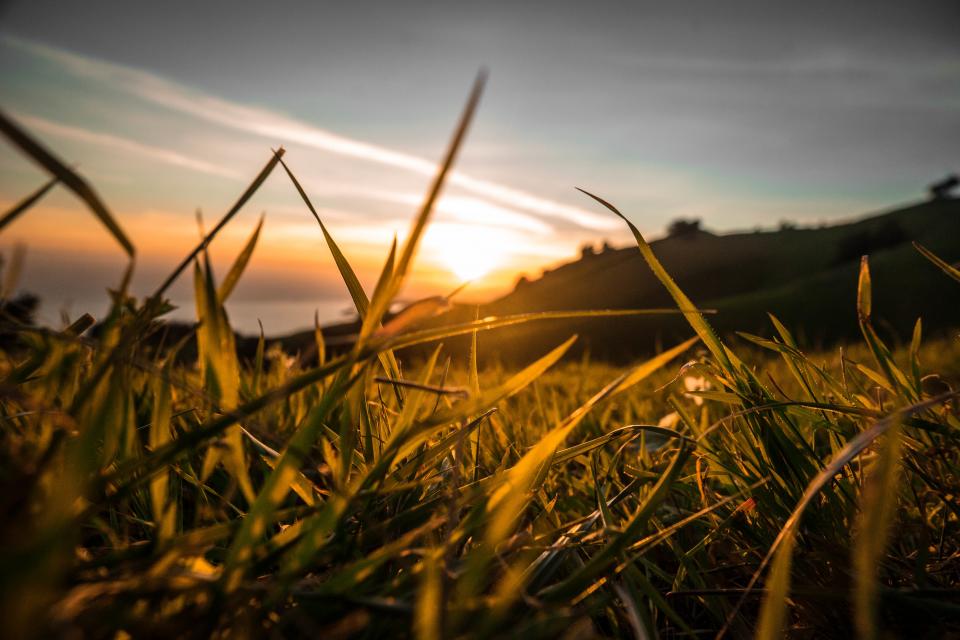 Sunset Dusk