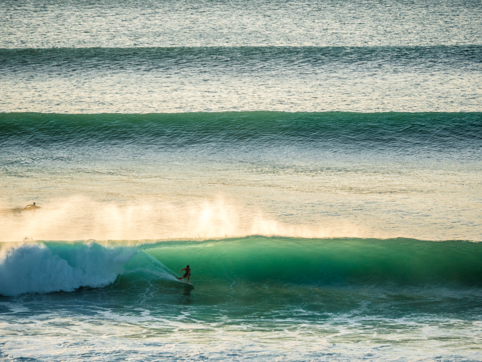 Surfing Ocean