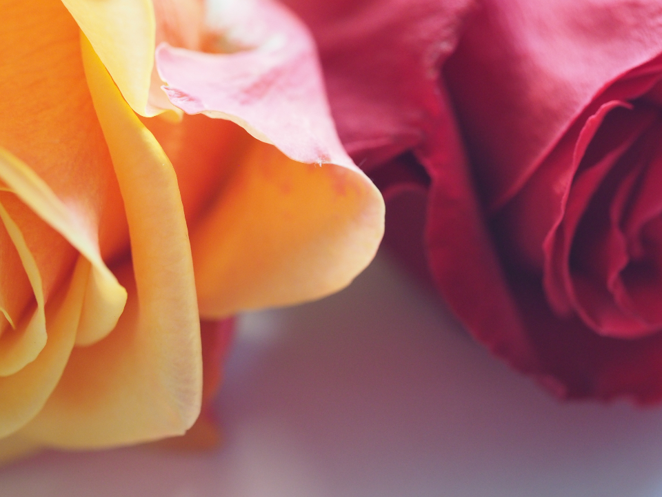 Yellow Red