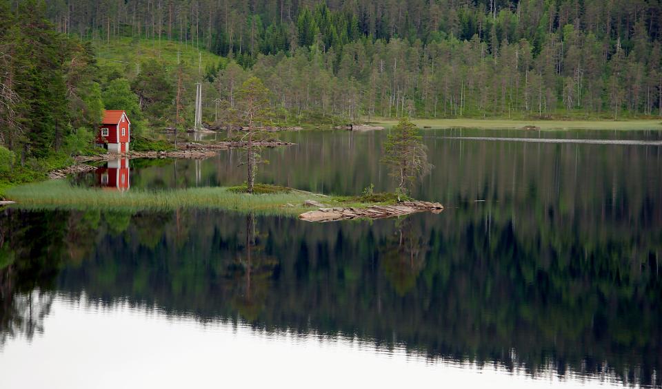 Nature Landscape