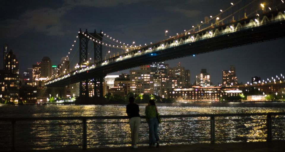Bridge Night