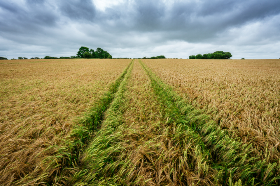 Tractor Field
