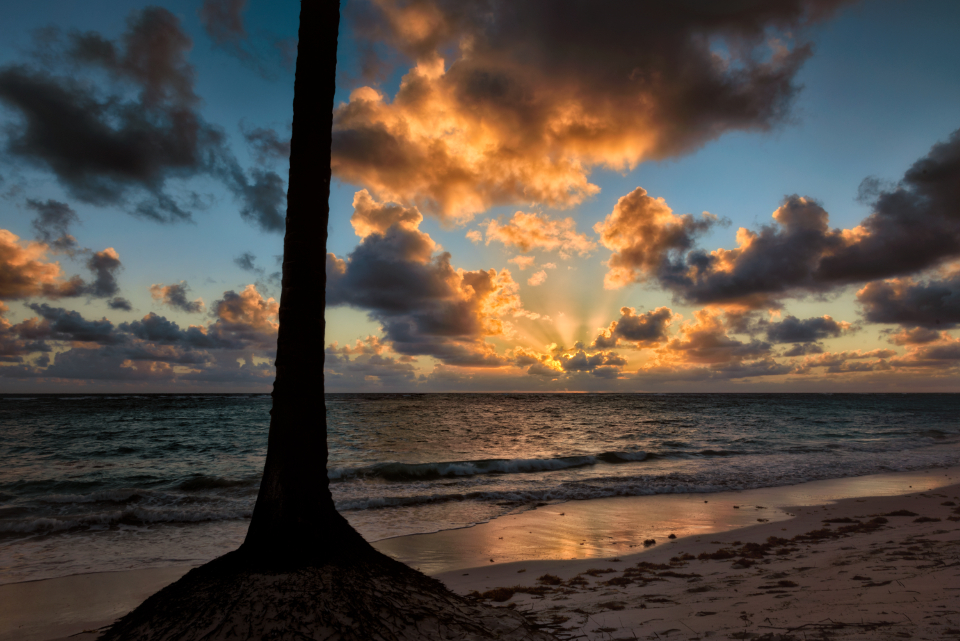 Tropical Beach