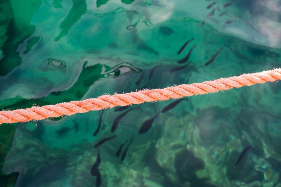 Orange Rope