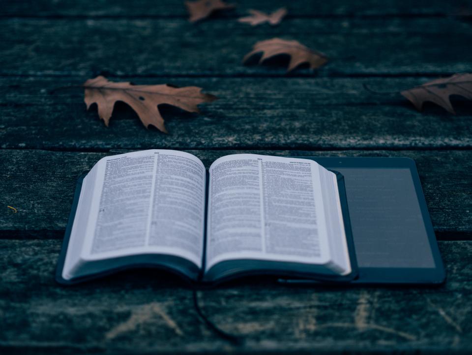 Book Reading