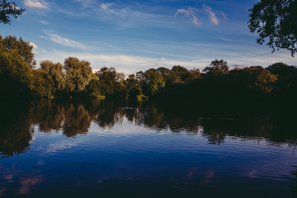 Lake Water