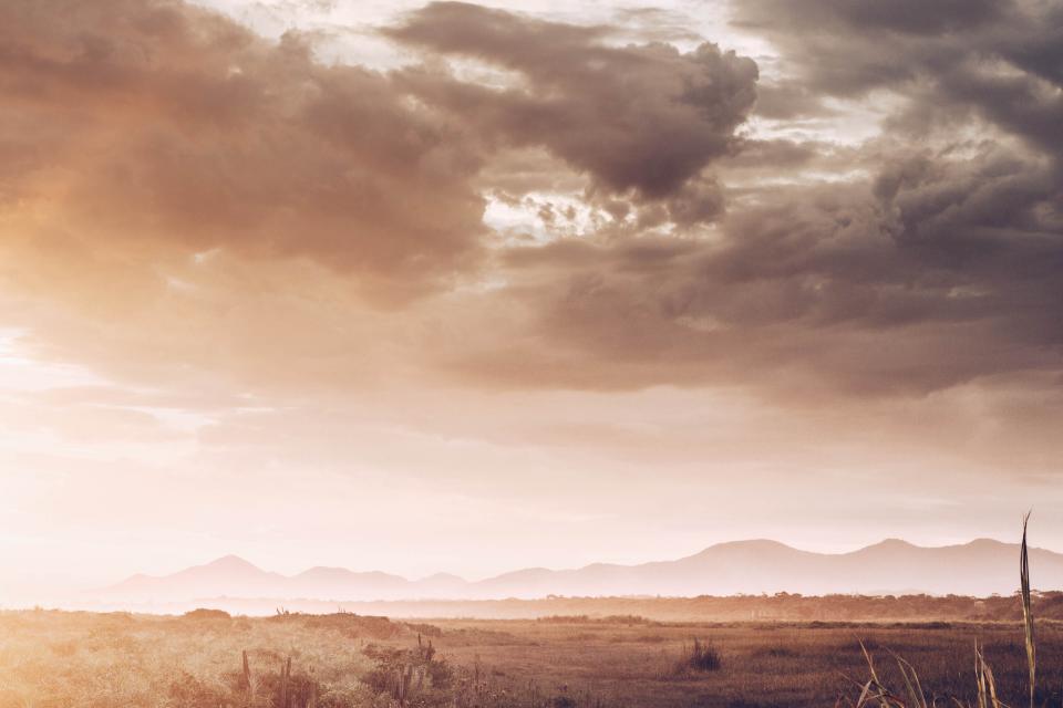 Nature Landscape