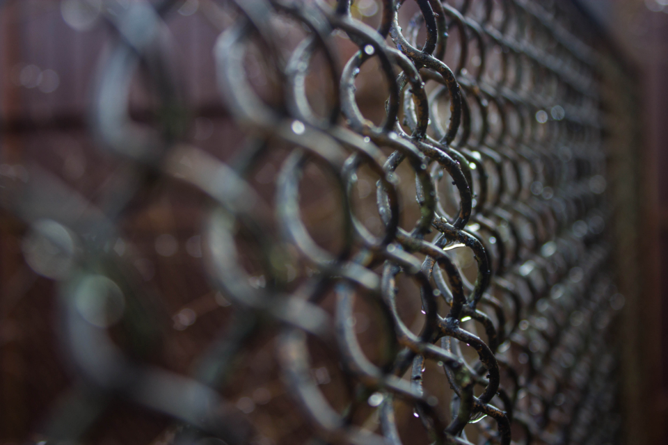 Fence Dew