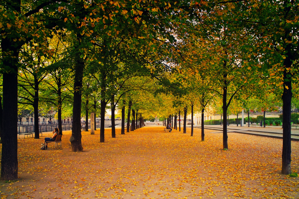 City Park