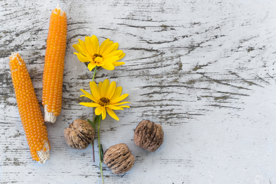 Rustic Corn