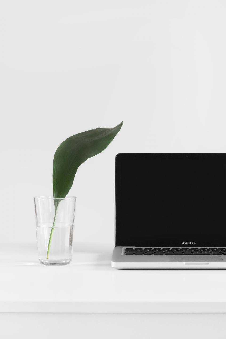 Laptop Apple