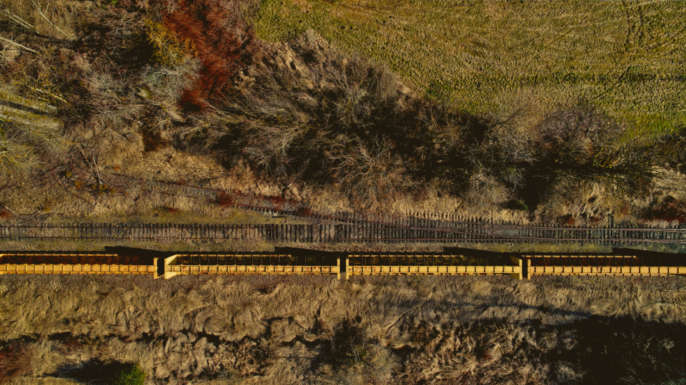 Aerial Train