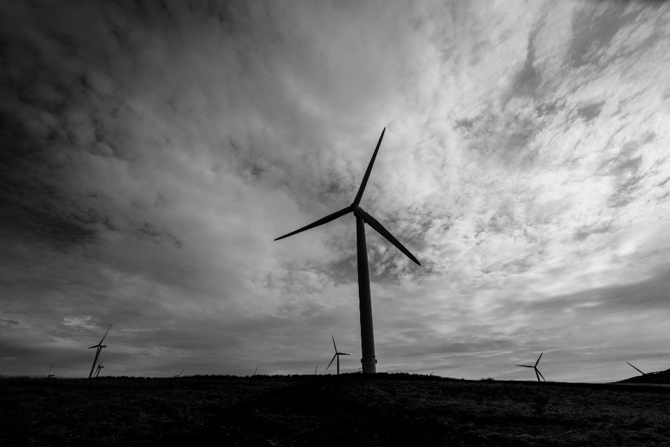 Wind Mill
