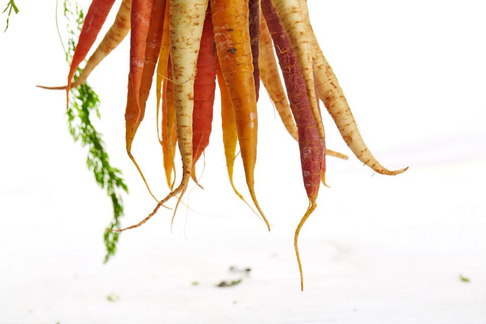 Vegetables Crops