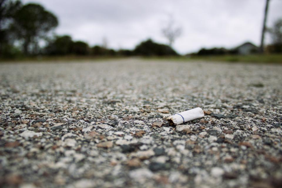 Cigarette Bud Smoking