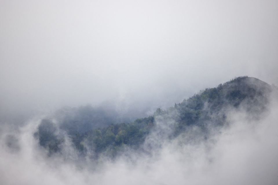 Fog Mountain