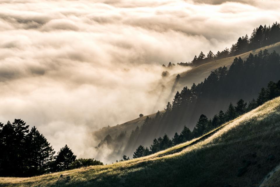 Nature Landscape