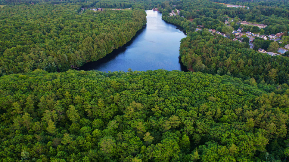 River Landscape