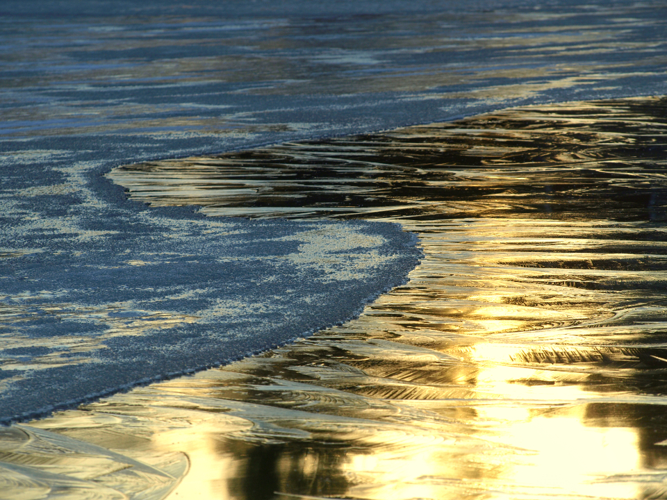 Ice Frost
