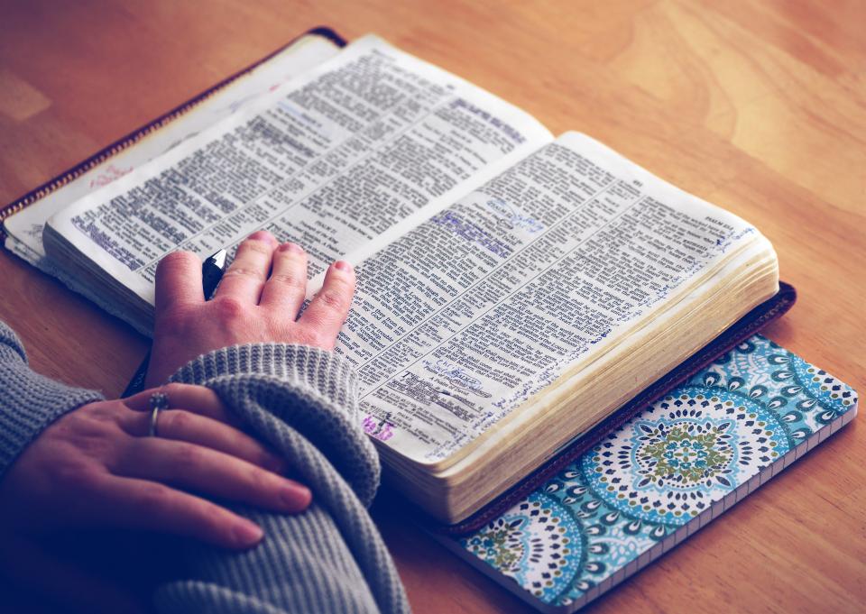 Book Bible