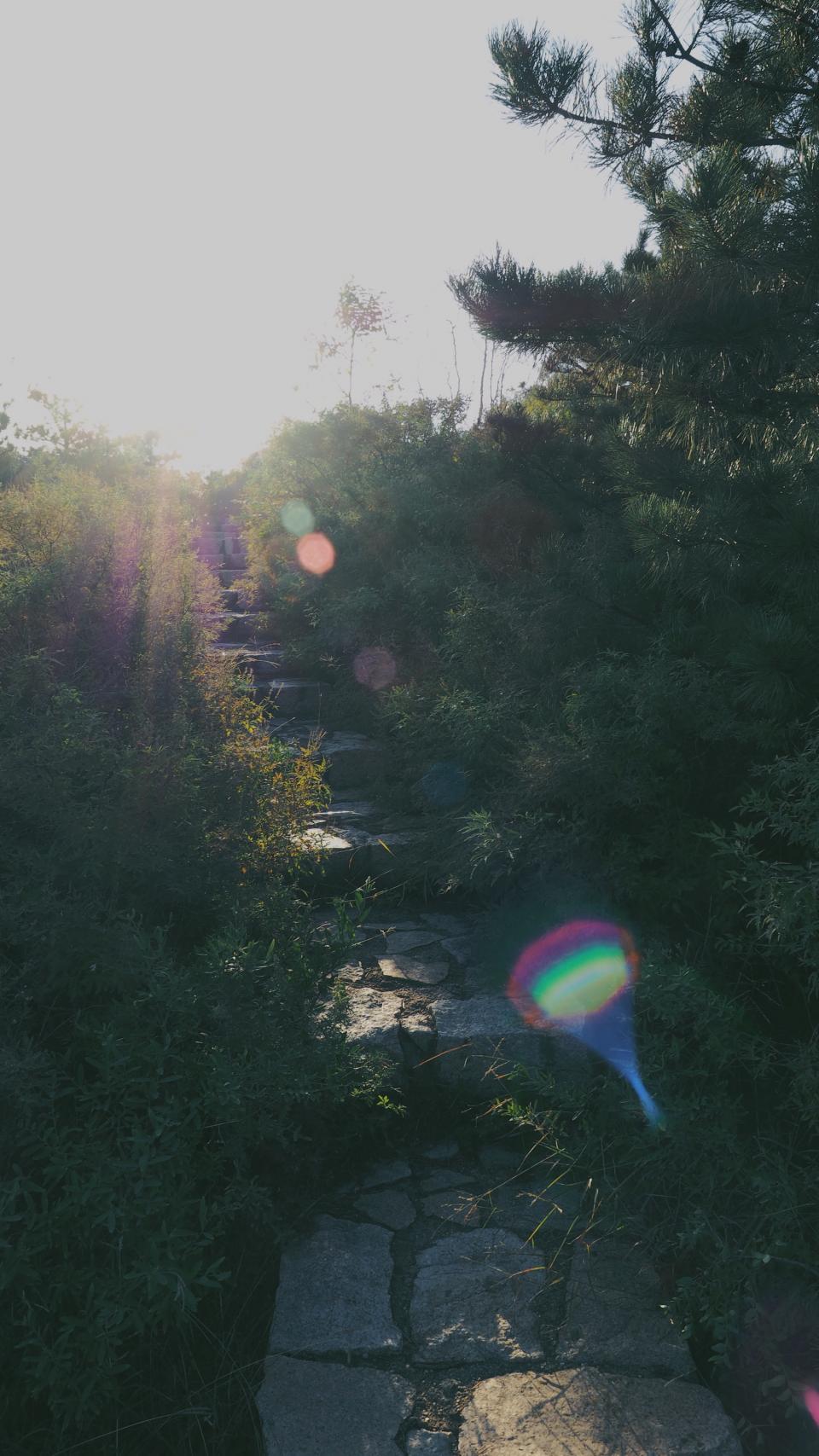 Nature Stairs