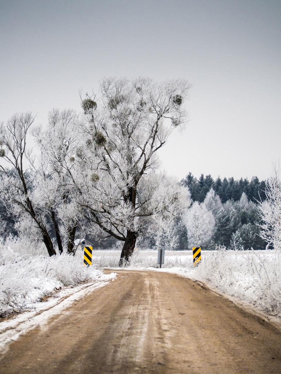 Winter Dirt