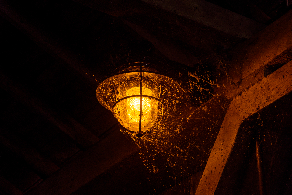 Lamp Exterior