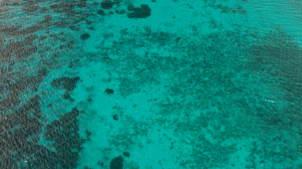 Ocean Water