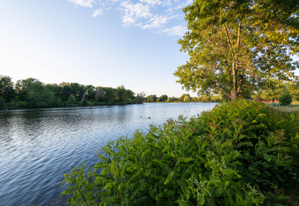 River Landscape